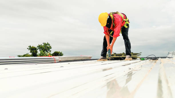 Best Roofing for New Construction  in Arlington Heights, PA