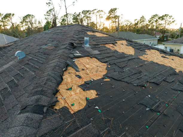 Steel Roofing in Arlington Heights, PA